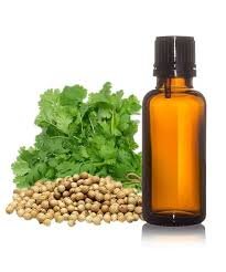 Coriander Oils